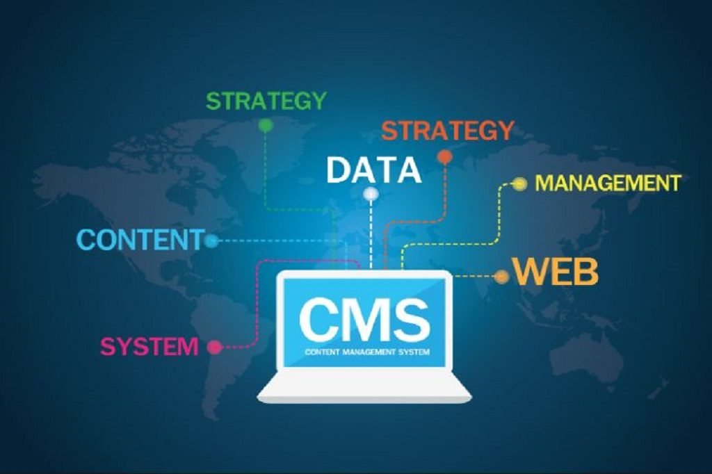 CMS development services