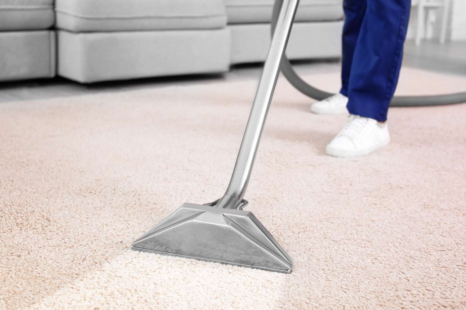 carpet cleaning