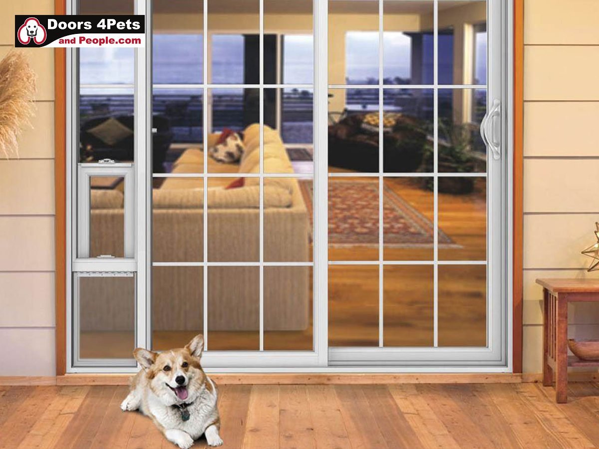 doggie door glass insert